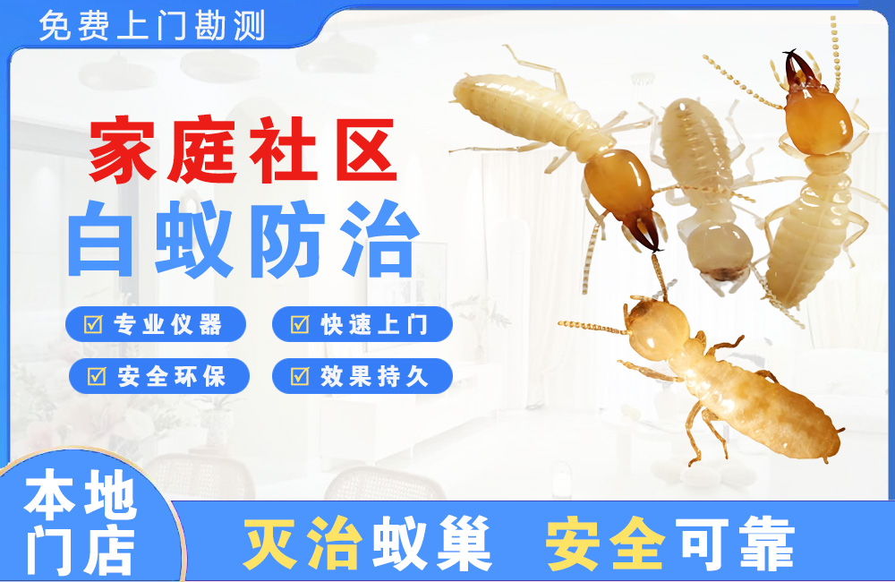 象山家庭社区白蚁防治