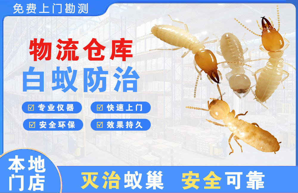 象山物流仓库白蚁防治