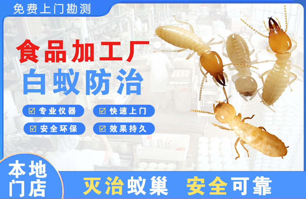 象山食品加工厂白蚁防治