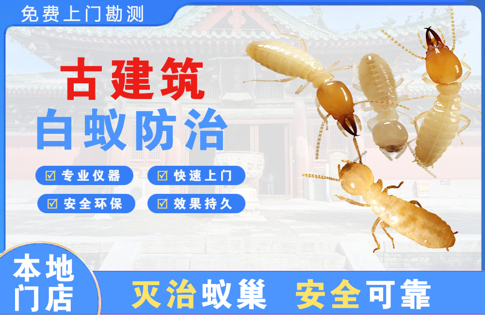 象山古建筑白蚁防治