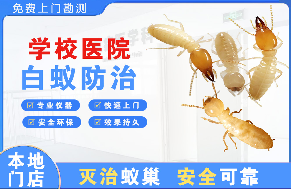 象山学校医院白蚁防治