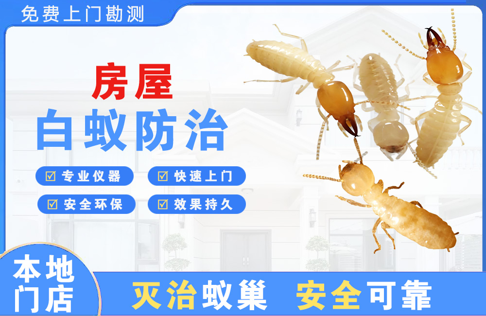 象山房屋白蚁防治