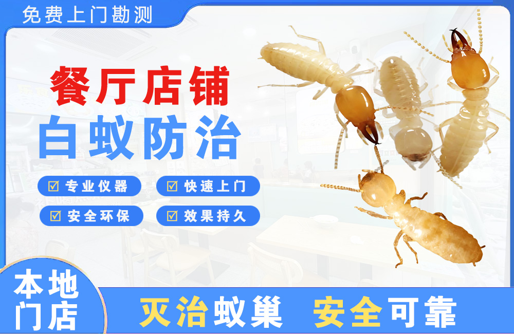 象山餐厅店铺白蚁防治